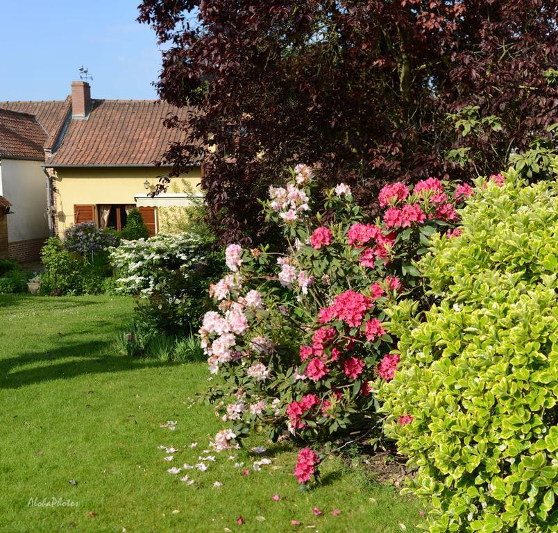 Gite Des Hortillonnages Camon  エクステリア 写真
